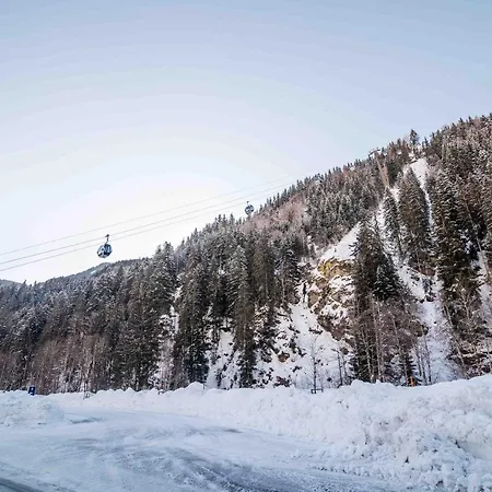 3 Musketiers * Viehhofen