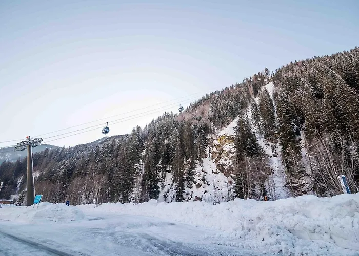3 Musketiers * Viehhofen